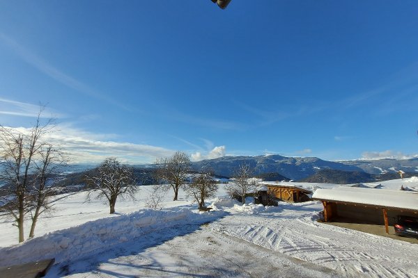 Views from the balcony